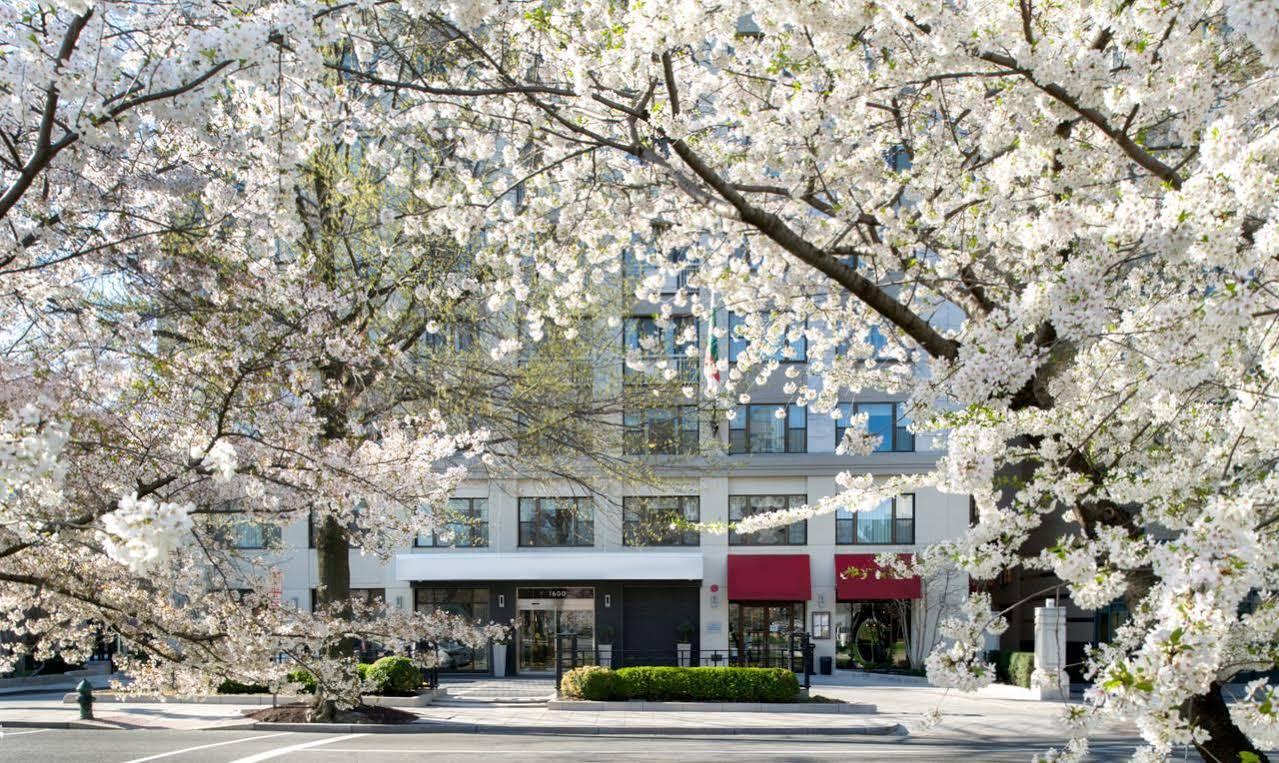 Canopy By Hilton Dc Embassy Row Hotel Washington